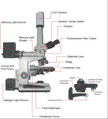 Fig5 microscope.png